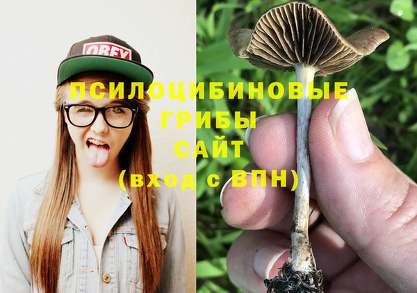 PSILOCYBIN Бородино